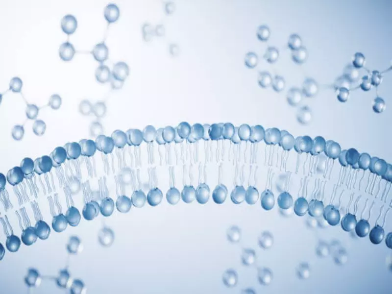 RO desalination